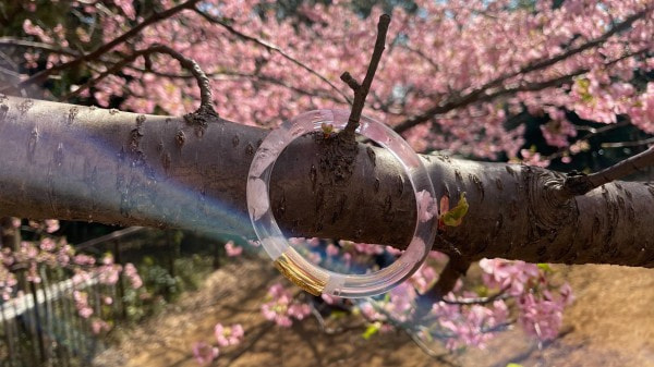 s__6456039slide-600x337.jpg